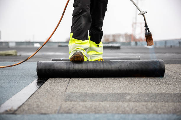 Best Roof Maintenance and Cleaning  in Blacklick Estates, OH